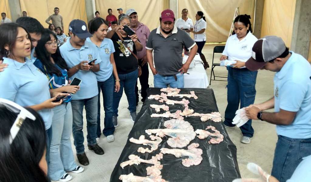 Habrá Foro Porcícola en Ixhuatlán del Café. Habrá Foro Porcícola en Ixhuatlán del Café.
