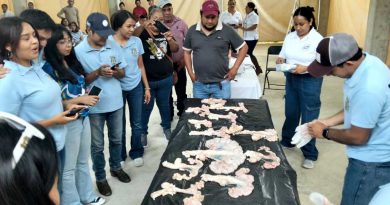 Habrá Foro Porcícola en Ixhuatlán del Café. Habrá Foro Porcícola en Ixhuatlán del Café.