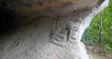 Localizan petroglifos y un posible tablero de patolli en barrancas de Zentla. Localizan petroglifos y un posible tablero de patolli en barrancas de Zentla.