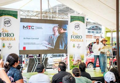 Un éxito el 2do. Foro Porcícola en Ixhuatlán del Café. Un éxito el 2do. Foro Porcícola en Ixhuatlán del Café.
