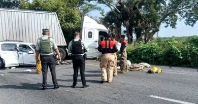 Recién nacido y tres personas más mueren en accidente.