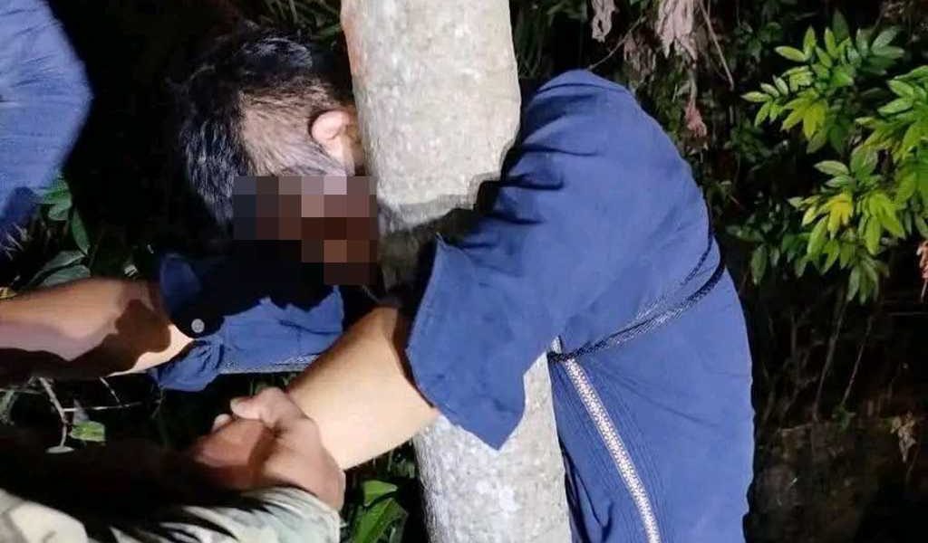 Termina en un árbol tras presunta intoxicación. Termina en un árbol tras presunta intoxicación.