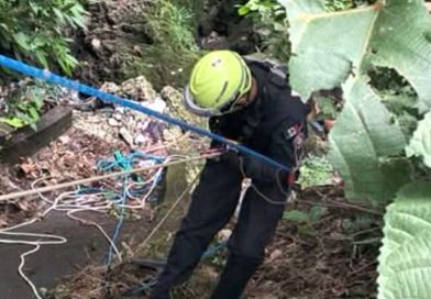 Cae al barranco al buscar su celular en Orizaba. Cae al barranco al buscar su celular en Orizaba.