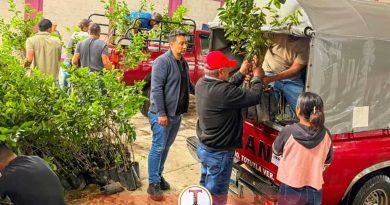 Entregan árboles de limón subsidiados a productores de Totutla. Entregan árboles de limón subsidiados a productores de Totutla.