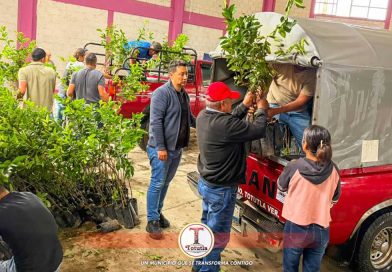Entregan árboles de limón subsidiados a productores de Totutla. Entregan árboles de limón subsidiados a productores de Totutla.